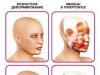 Revitonics: ejercicios para rejuvenecer la cara y el cuello.