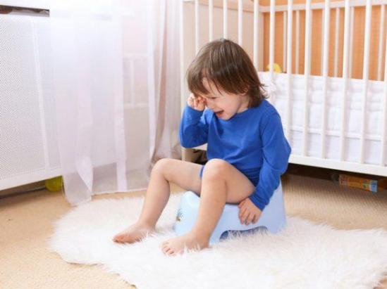 The child stopped going to the potty: what to do The child went to the potty and now refuses